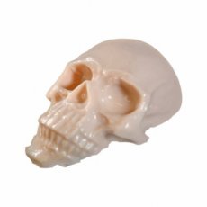 Reelskin Synthethic Practisch skull